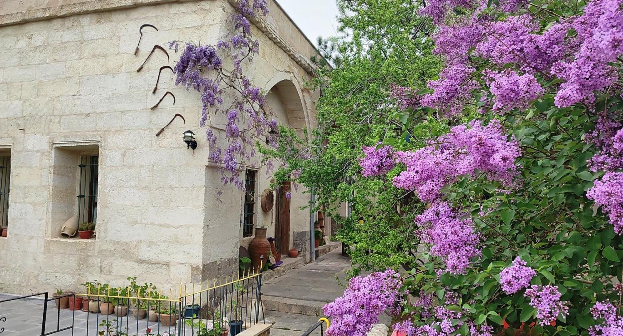 Armesos Cave Hotel أوروغوبْ المظهر الخارجي الصورة